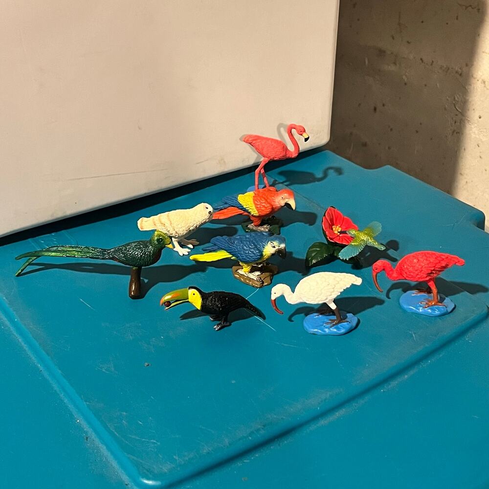 Y2K Safari Ltd. Wild Birds TOOB